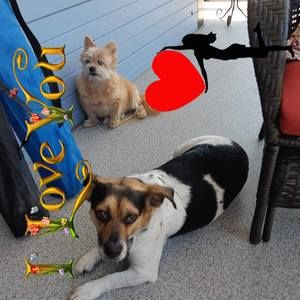 Meet your Posher, Alda